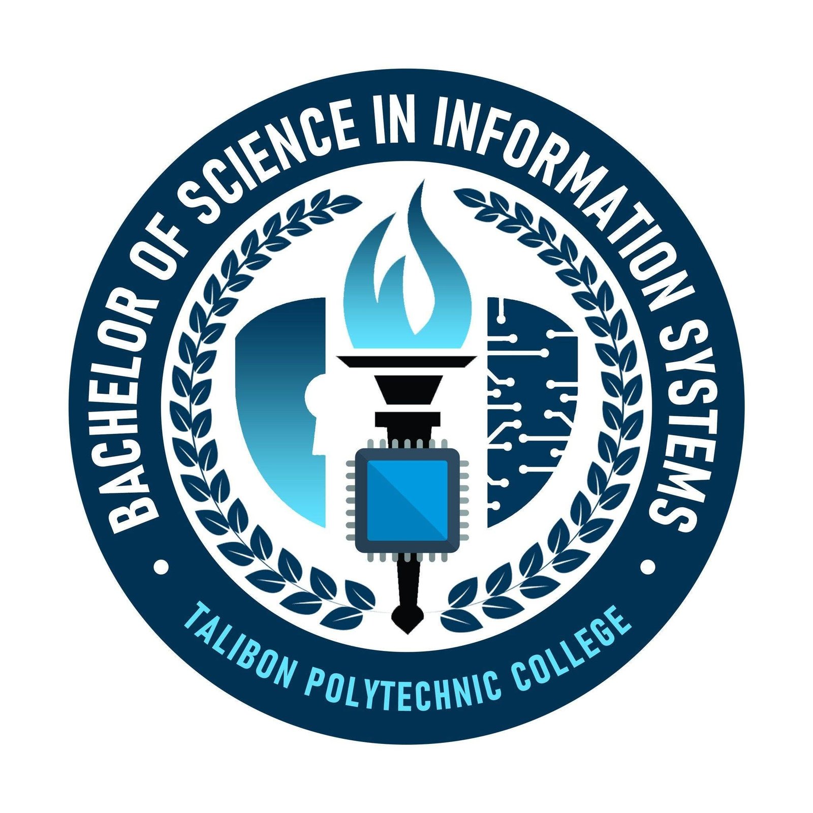 BSIS Logo